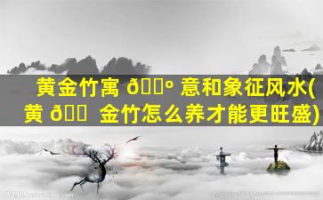 黄金竹寓 🐺 意和象征风水(黄 🐠 金竹怎么养才能更旺盛)
